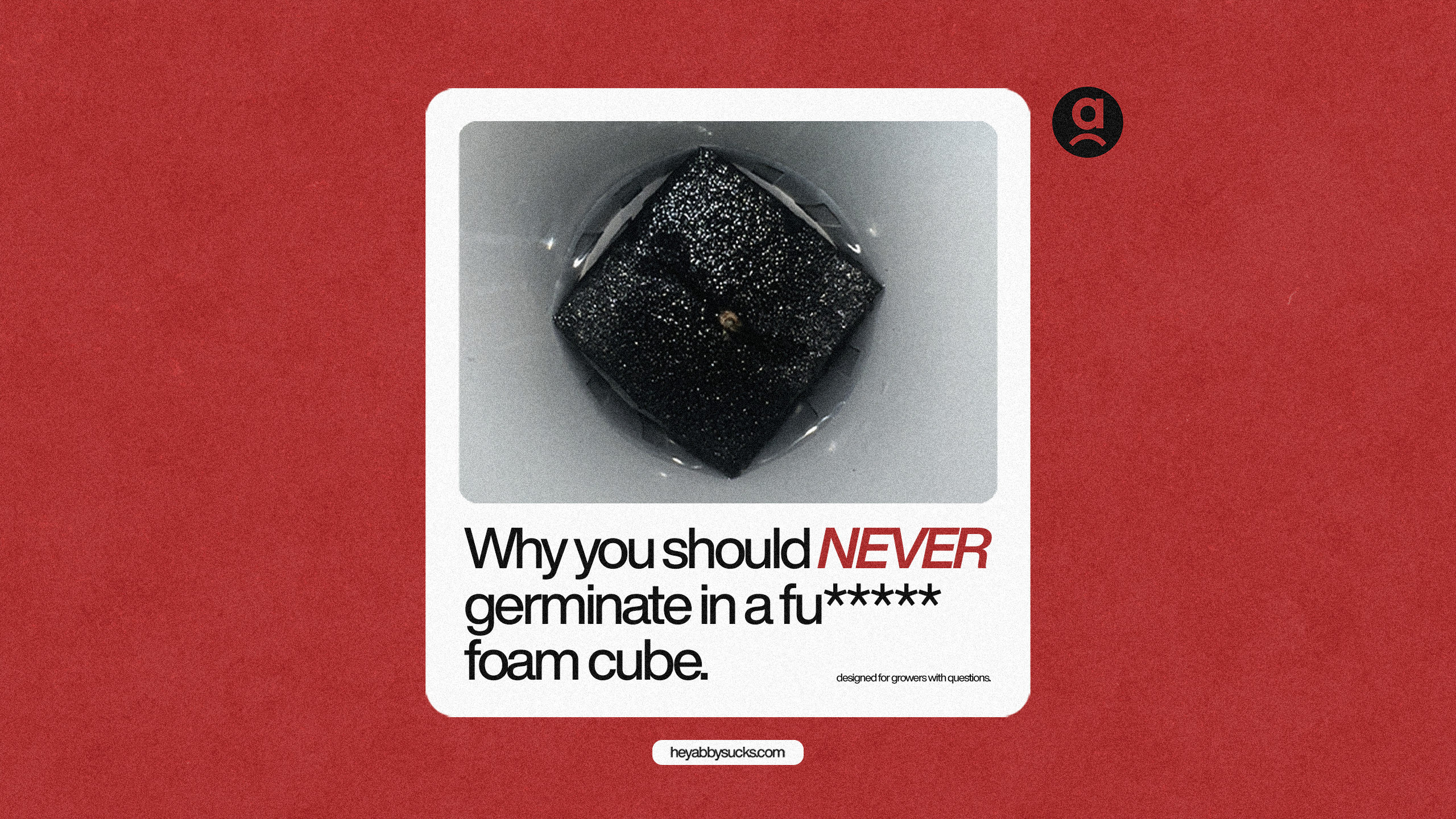 Why You Should Never Germinate In a Fu***** Foam Cube