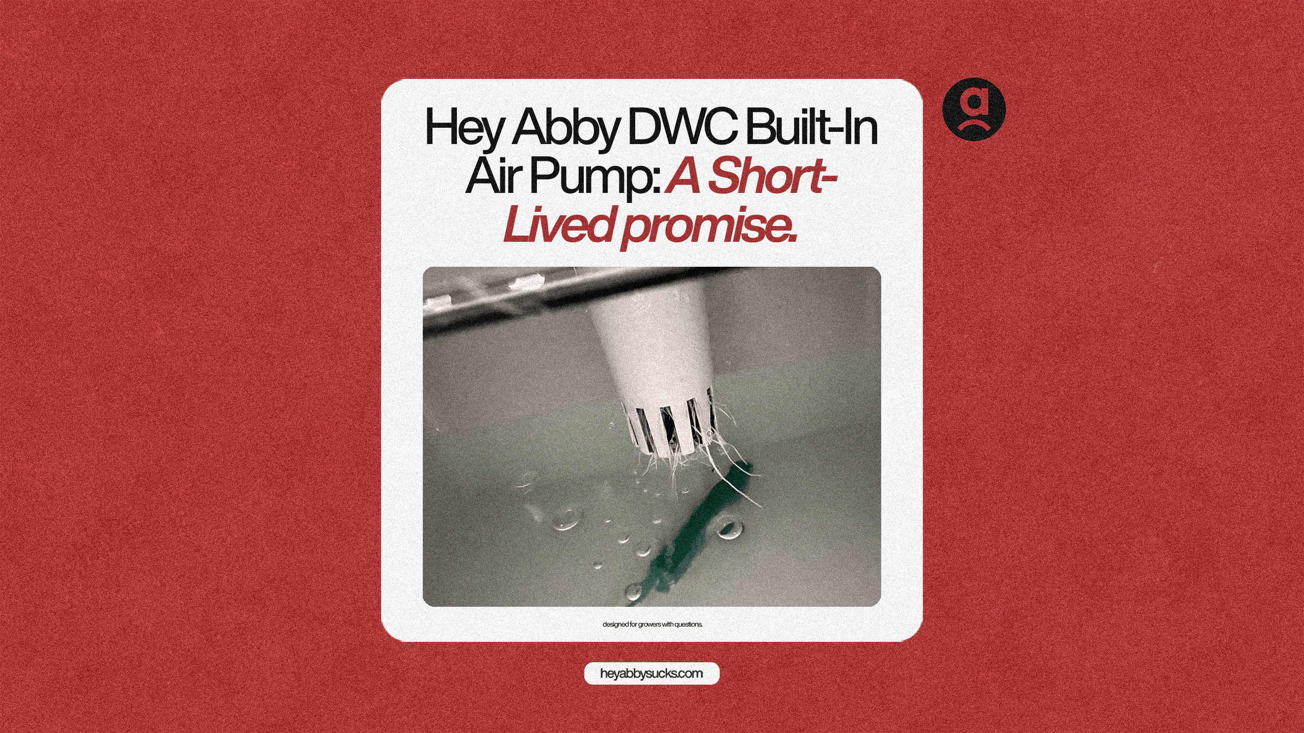 The Hey Abby DWC Built-In Air Pump: A Short-Lived Promise